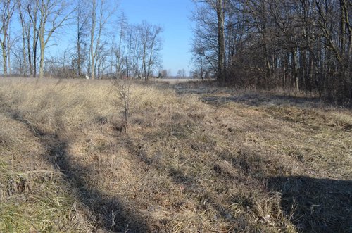 Property photo 29 - East Allen County - 55 Acre Land Auction